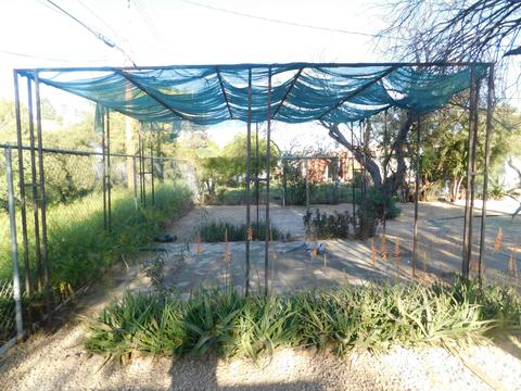2236 E Sandra Ter, Phoenix, AZ 85022 photo 116