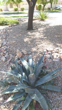 3540 E Cullumber Ct, Gilbert, AZ 85234 photo 3