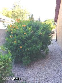 3540 E Cullumber Ct, Gilbert, AZ 85234 photo 24