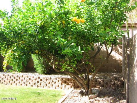 8956 E Hillview St, Mesa, AZ 85207 photo 20