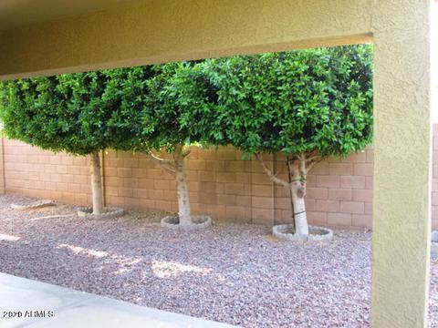 8956 E Hillview St, Mesa, AZ 85207 photo 19