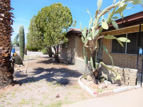 1041 S Delaware Dr, Apache Junction, AZ 85120 photo 69