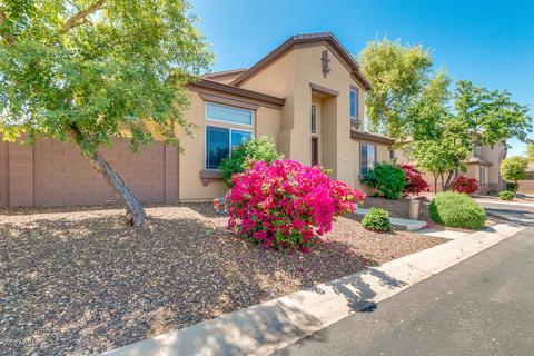 3843 E Pollack St, Phoenix, AZ 85042 photo 8