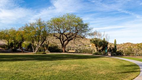 2458 E Desert Willow Dr, Phoenix, AZ 85048 photo 51