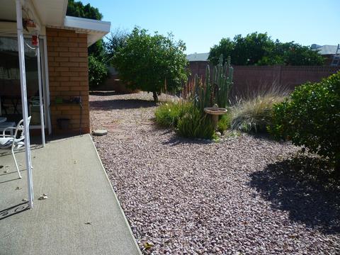 5107 Elena Ave, Mesa, AZ 85206 photo 19