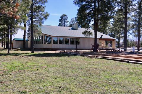 2212 Rodeo Rd, Overgaard, AZ 85933 photo 52