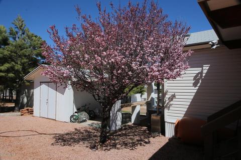 2212 Rodeo Rd, Overgaard, AZ 85933 photo 25