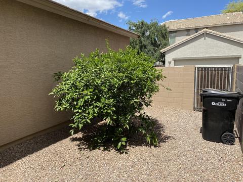 1911 Emily Ln, Gilbert, AZ 85295 photo 20