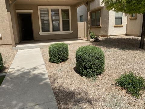 1911 Emily Ln, Gilbert, AZ 85295 photo 2