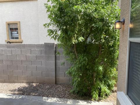 1911 Emily Ln, Gilbert, AZ 85295 photo 19