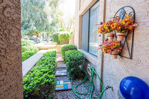 341 E Pinon Way, Gilbert, AZ 85234 photo 4