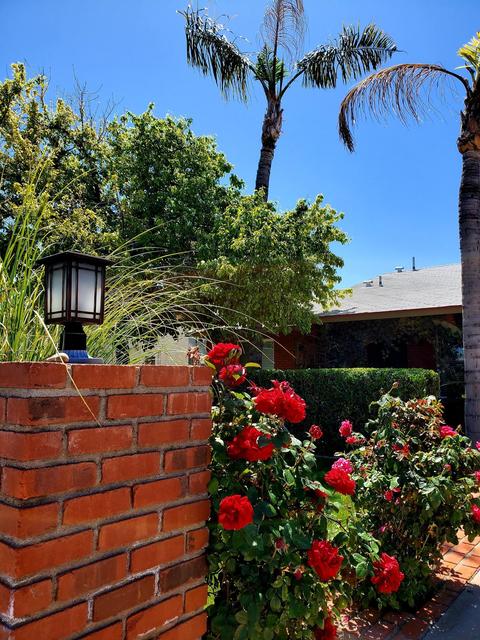 3507 E Campo Bello Dr, Phoenix, AZ 85032 photo 12
