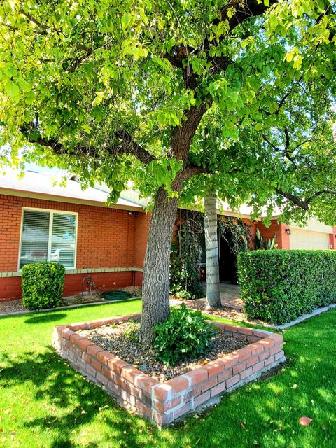 3507 E Campo Bello Dr, Phoenix, AZ 85032 photo 6