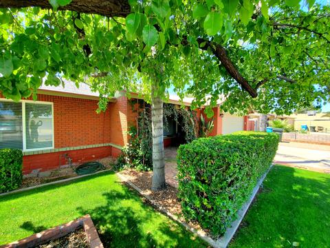 3507 E Campo Bello Dr, Phoenix, AZ 85032 photo 14