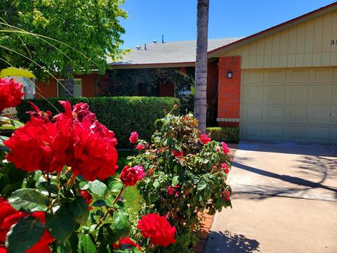 3507 E Campo Bello Dr, Phoenix, AZ 85032 photo 7