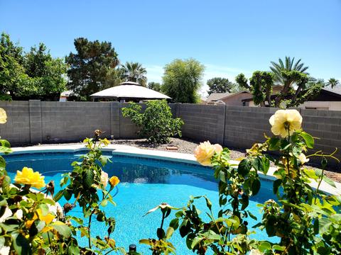 3507 E Campo Bello Dr, Phoenix, AZ 85032 photo 37