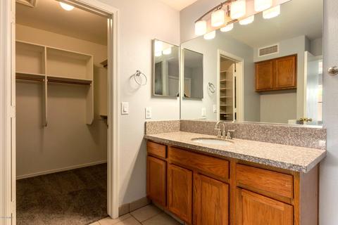4738 E Abraham Ln, Phoenix, AZ 85050 photo 21