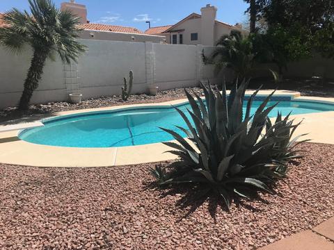 6110 E Star Valley St, Mesa, AZ 85215 photo 4