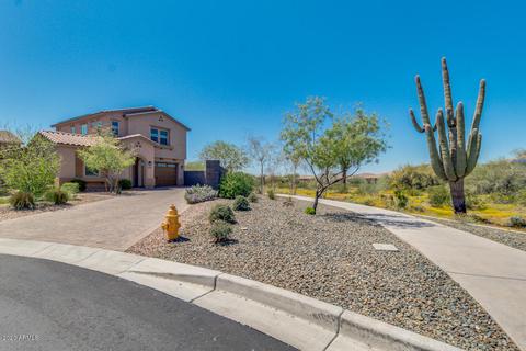 4641 E Nocona Ln, Phoenix, AZ 85050 photo 4
