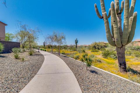 4641 E Nocona Ln, Phoenix, AZ 85050 photo 48