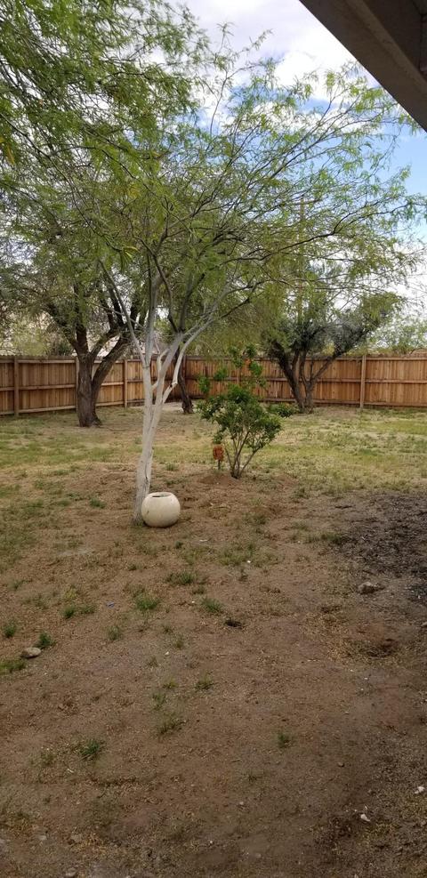 114 E Paseo Way, Phoenix, AZ 85042 photo 18
