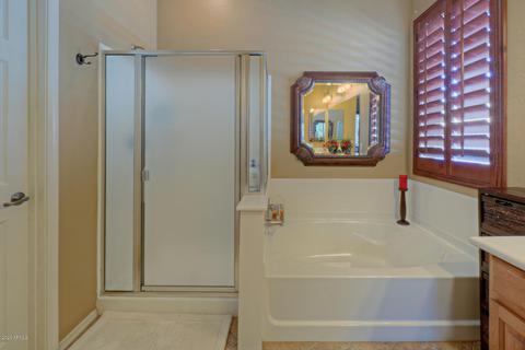 10165 E Lobo Ave, Mesa, AZ 85209 photo 17