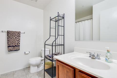 3032 E Darrow St, Phoenix, AZ 85042 photo 21