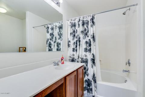3032 E Darrow St, Phoenix, AZ 85042 photo 18