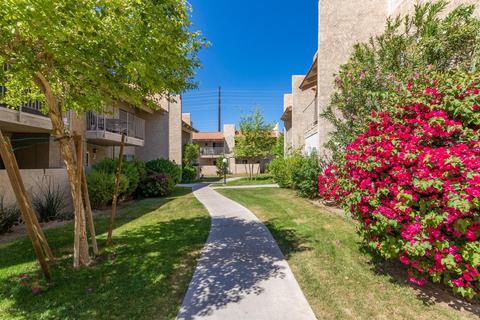 5525 E Thomas Rd #R16, Phoenix, AZ 85018 photo 24