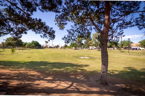 3634 E Dover St, Mesa, AZ 85205 photo 41