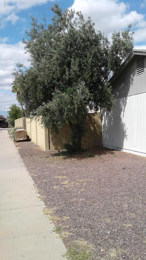 3702 E Janice Way, Phoenix, AZ 85032 photo 17