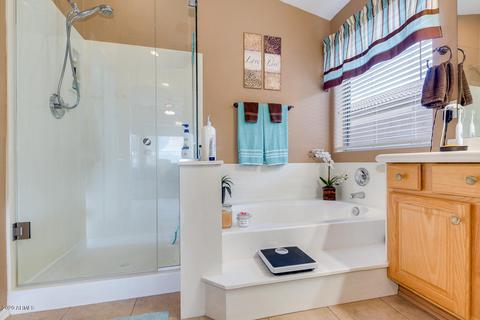 8965 E Hannibal St, Mesa, AZ 85207 photo 29