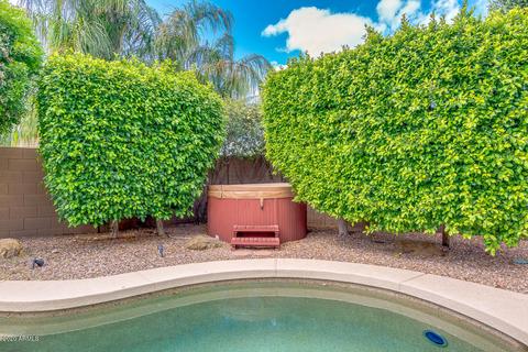 8965 E Hannibal St, Mesa, AZ 85207 photo 46