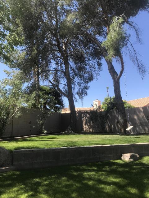 1032 S Cape Ct, Gilbert, AZ 85233 photo 15