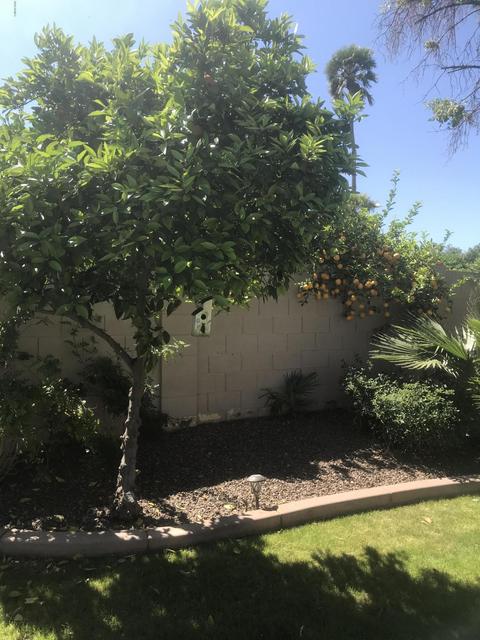 1032 S Cape Ct, Gilbert, AZ 85233 photo 16