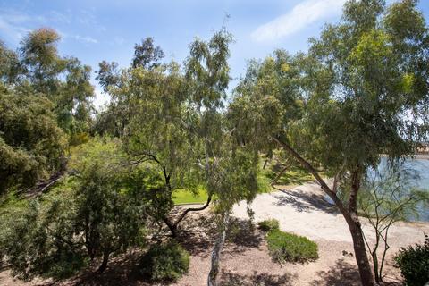 6163 N 28th Pl, Phoenix, AZ 85016 photo 29