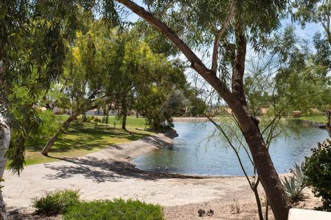 6163 N 28th Pl, Phoenix, AZ 85016 photo 37