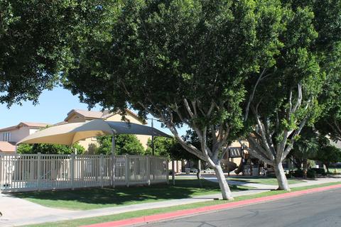 5257 E Hilton Ave, Mesa, AZ 85206 photo 51