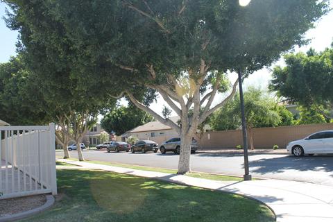 5257 E Hilton Ave, Mesa, AZ 85206 photo 52
