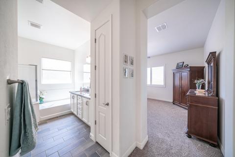 2734 E Cozettas Ct, Gilbert, AZ 85298 photo 18