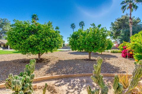 318 E Carver Rd, Tempe, AZ 85284 photo 53