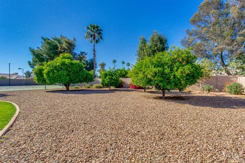318 E Carver Rd, Tempe, AZ 85284 photo 52
