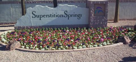 1289 N Conner Ave, Gilbert, AZ 85234 photo 33