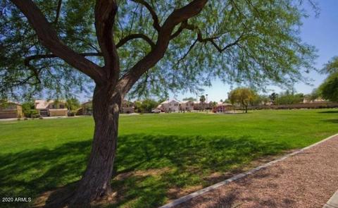 1289 N Conner Ave, Gilbert, AZ 85234 photo 29