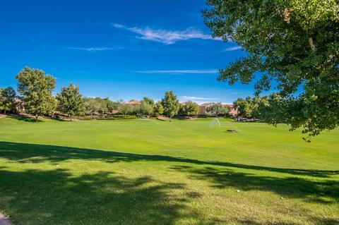 10905 E Sebring Ave, Mesa, AZ 85212 photo 41