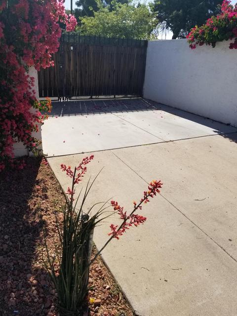 4607 N 75th Ave, Phoenix, AZ 85033 photo 3