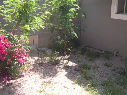 213 E 5th Ave, Mesa, AZ 85210 photo 17