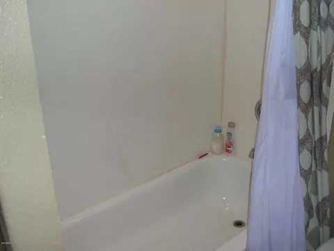 213 E 5th Ave, Mesa, AZ 85210 photo 6