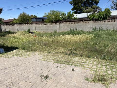 2314 W Freeway Ln, Phoenix, AZ 85021 photo 7
