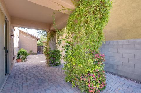 3951 E Frances Ln, Gilbert, AZ 85295 photo 33